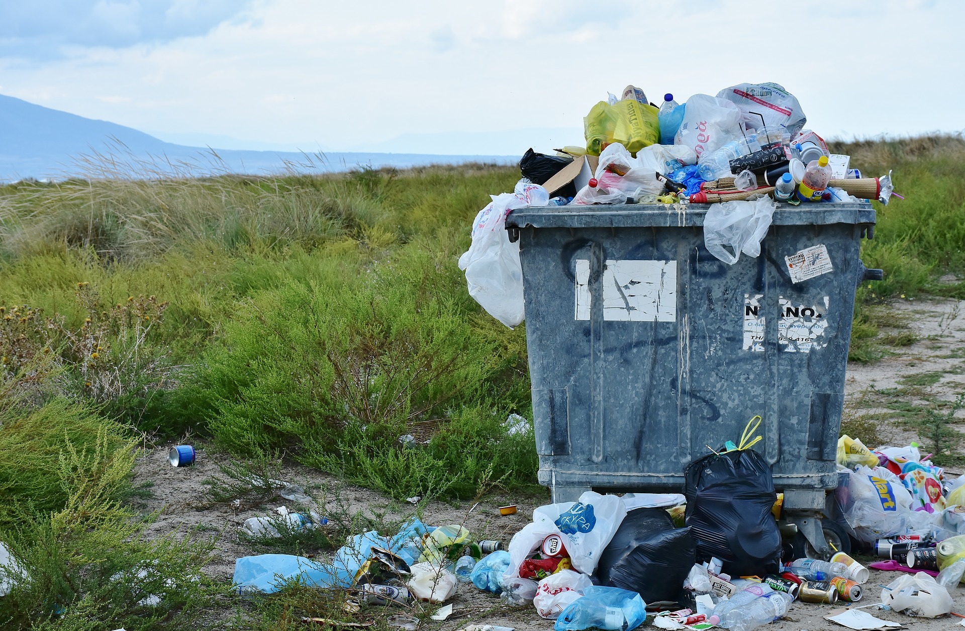 Verpackung – NEIN DANKE?